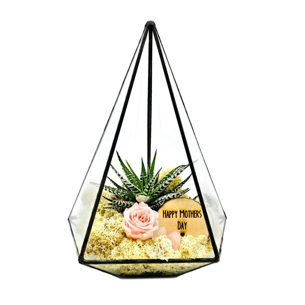terrarium
