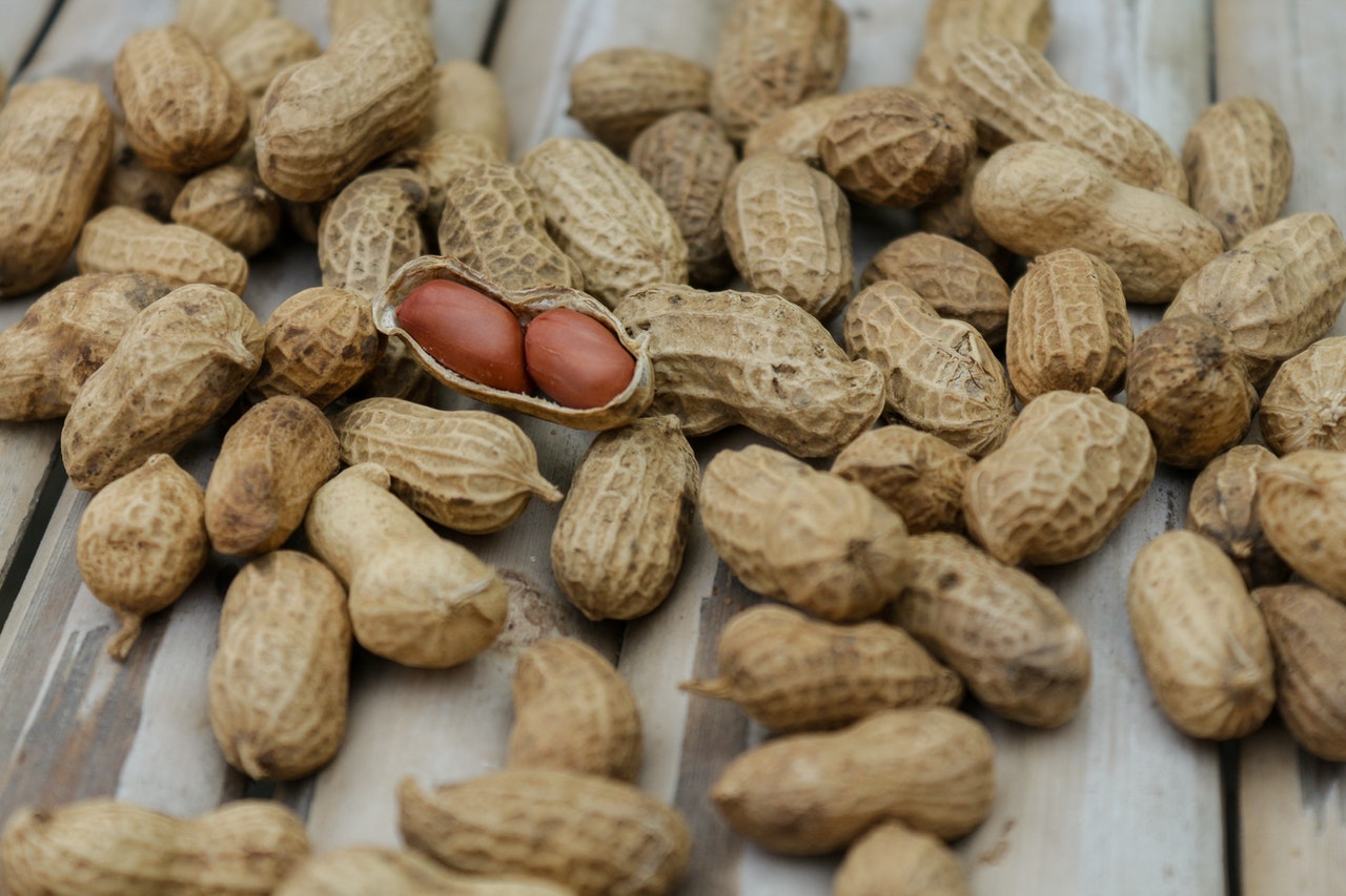 a bunch of monkey tree nuts