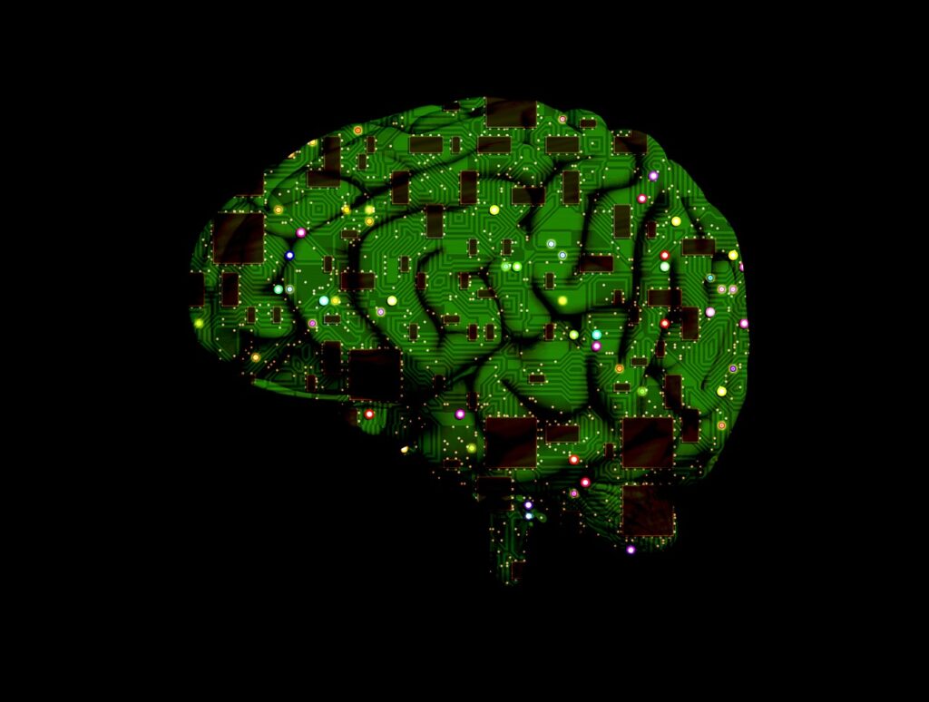 circuit board brain
