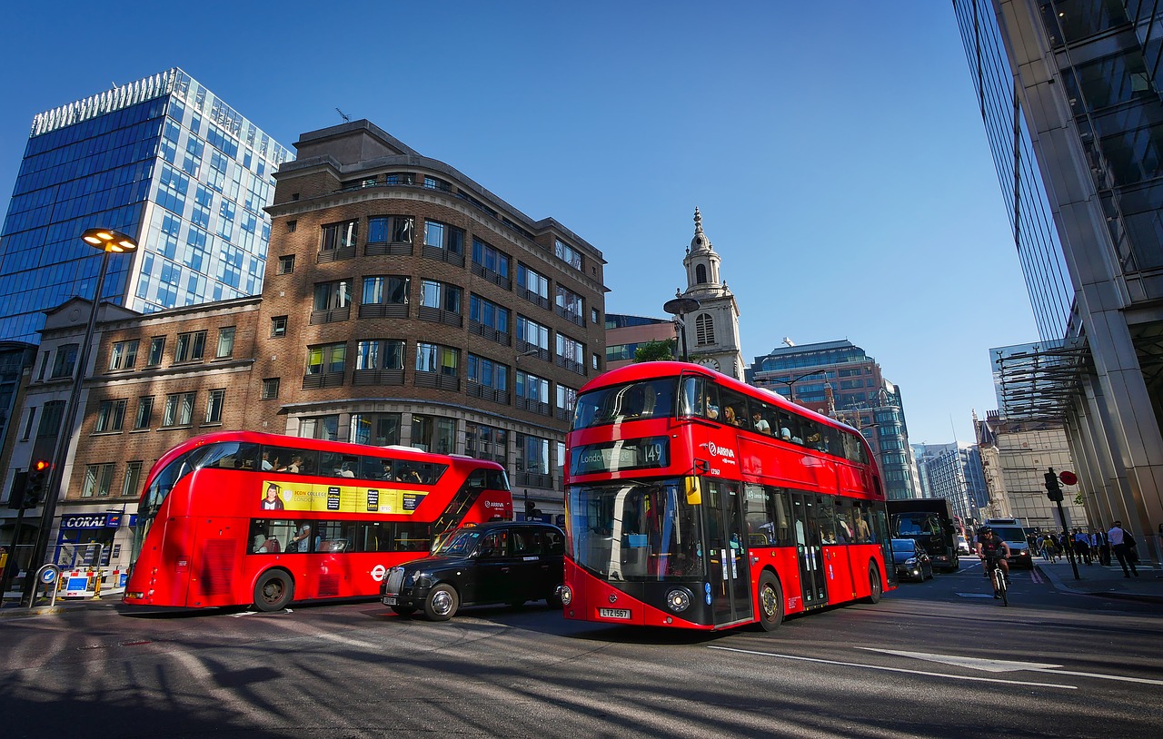 buses