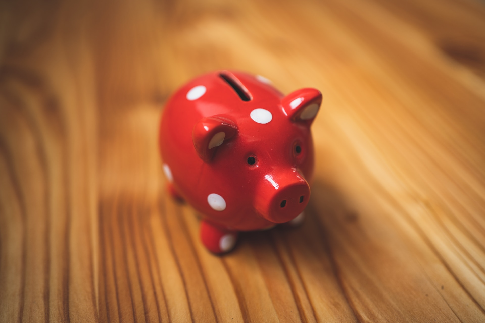 spotty piggy bank