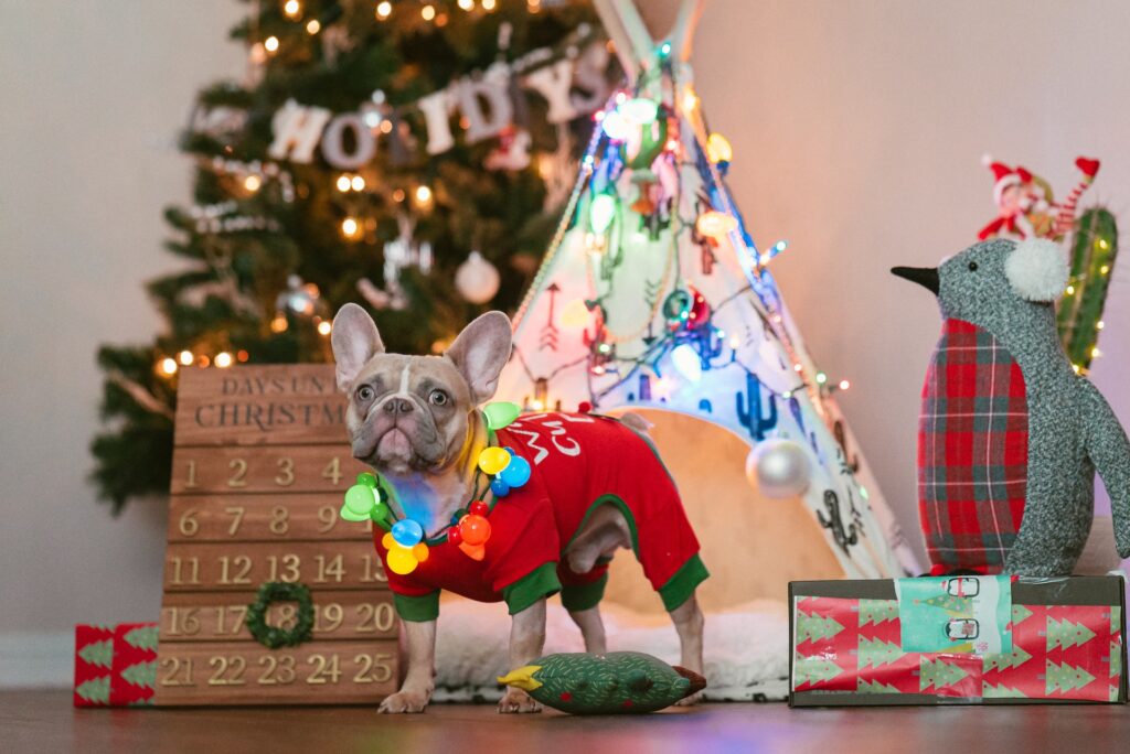 kids toys near christmas tree