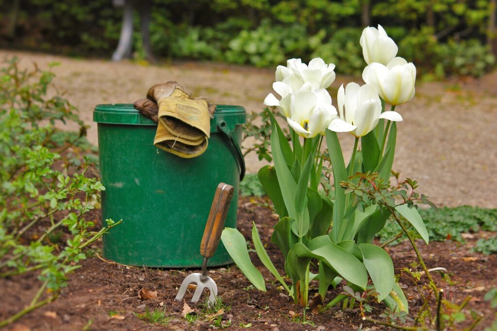gardening tools beside a white flower in bloom 
