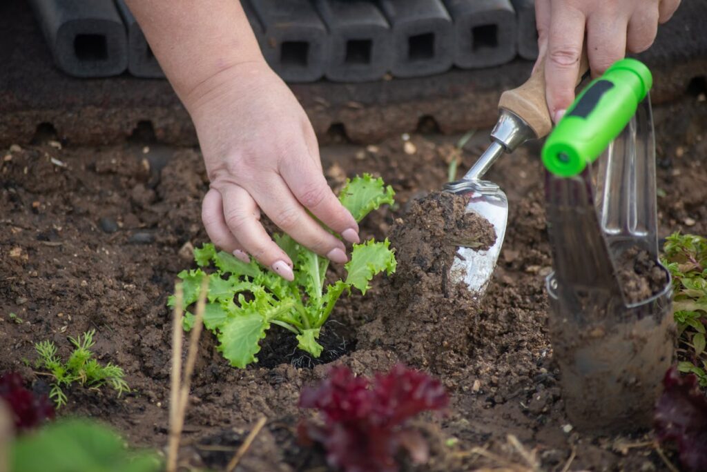 person digging the soil using a trowel to plant