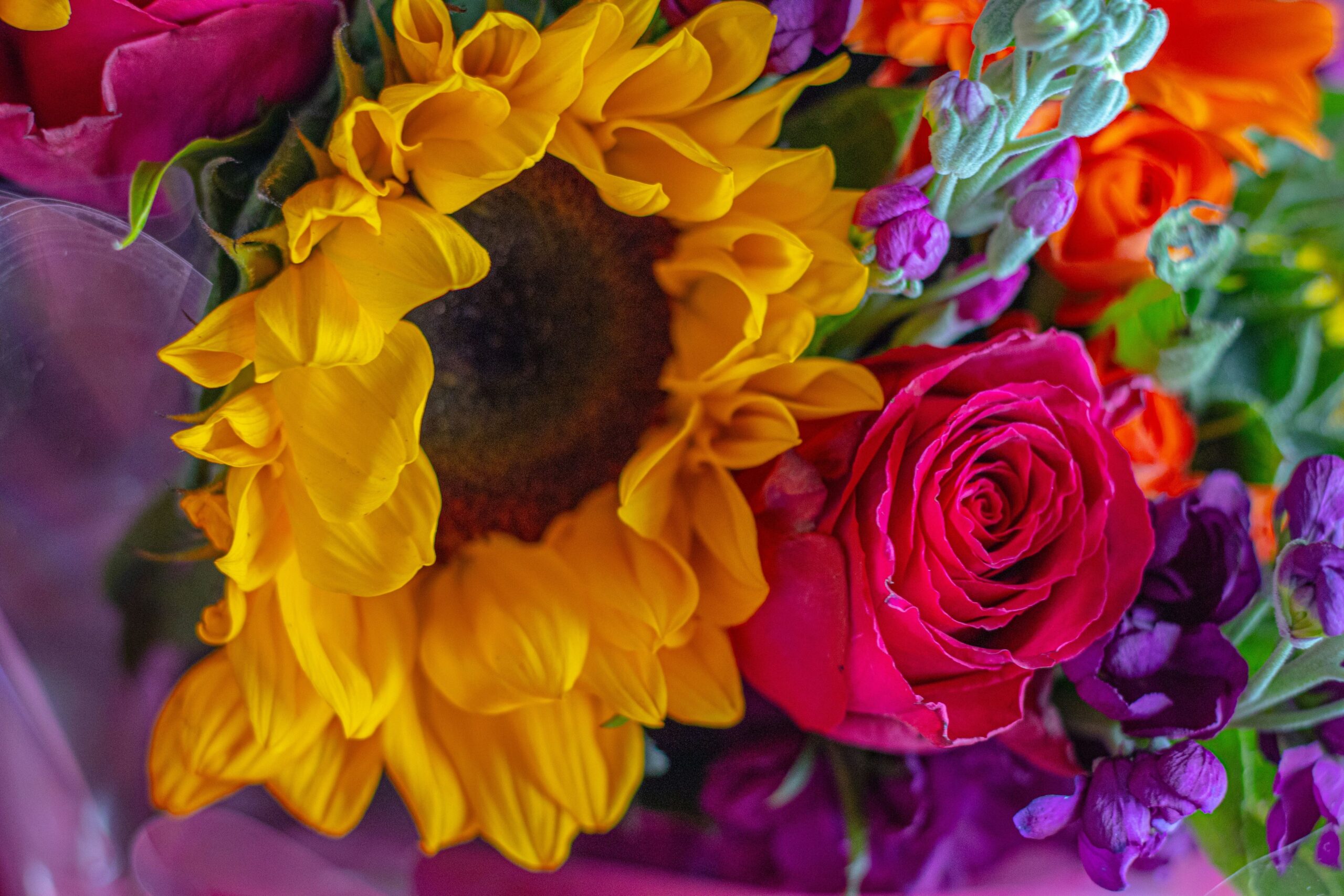 beautiful flowers