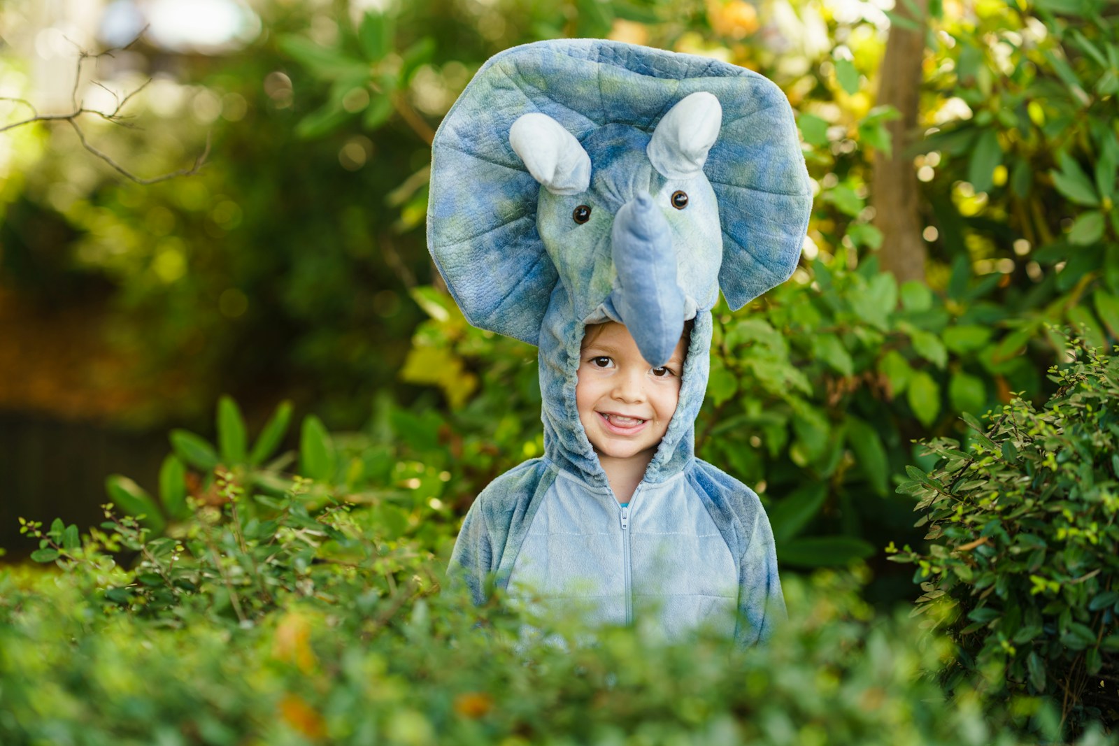 World Book Day costume ideas for toddlers. This little on is wearing a dino costume and hiding in a bush.