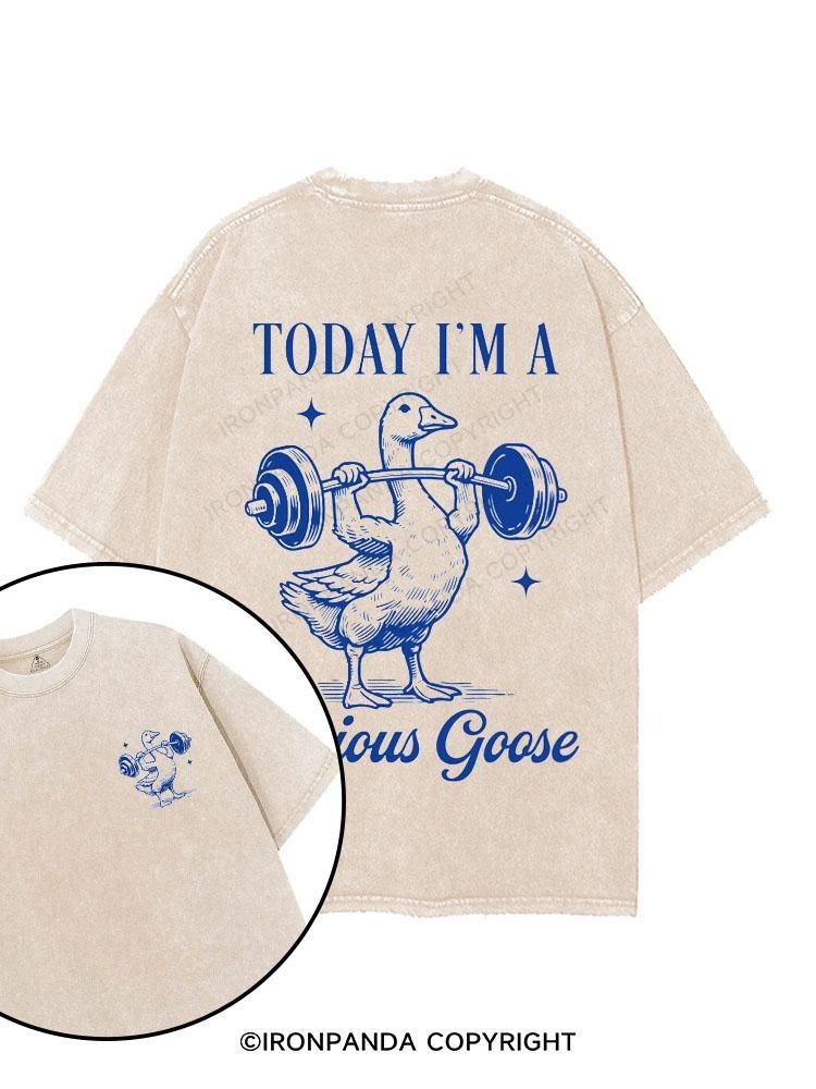 funny gym shirt